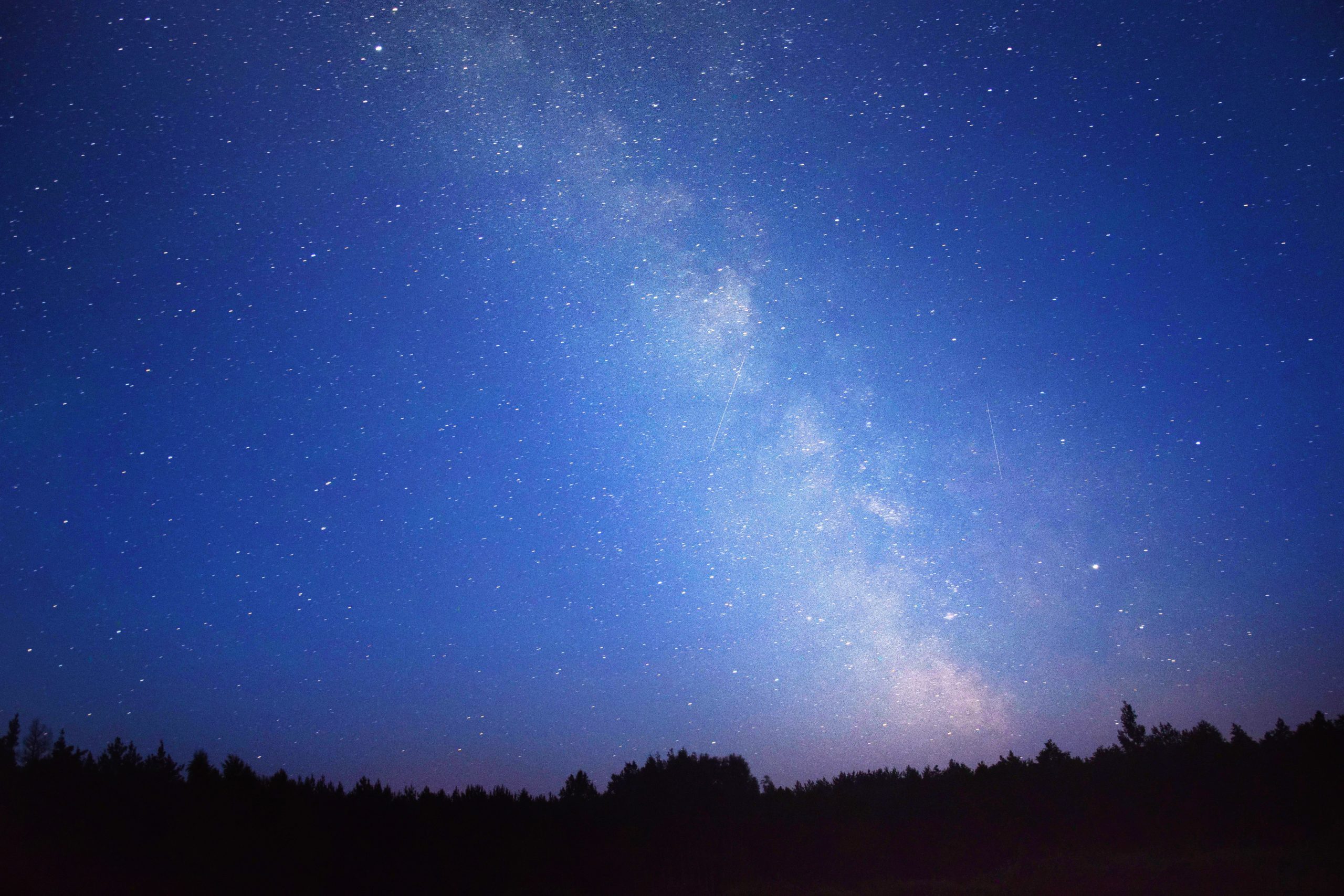 12星座でホステスなどの水商売をしたら成功を収める星座は